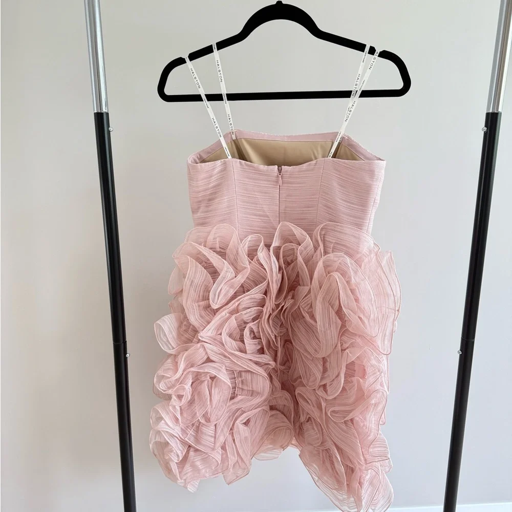 Halston Heritage Pink Ruffled Dress - Picture 2 of 4